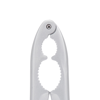 Nutcracker 17 CM Multicolour