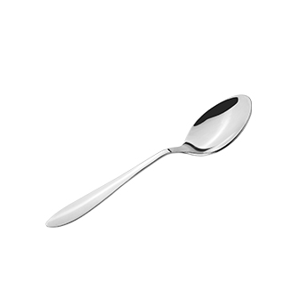 Dinner Spoon 6 Piece Set