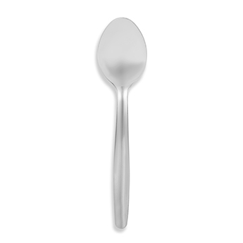 Tea/Coffee Spoon 6 Piece Set