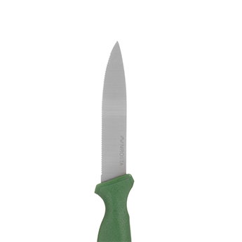 Klasse Short kitchen knife 21.8 CM